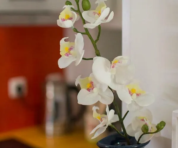 شقة Allfado Lisboa