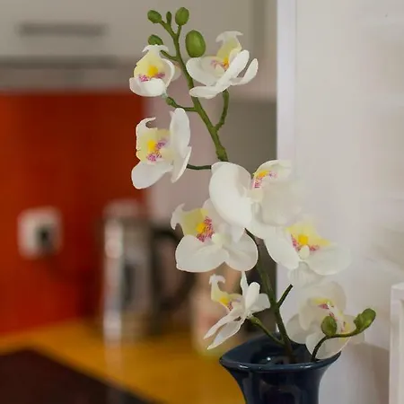 Apartment Allfado Lissabon